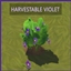 VIOLET Harvestable By icemunmun | Chinese Translation logo