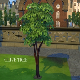 Olive Tree Harvestable By icemunmun | Chinese Translation
