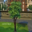 Olive Tree Harvestable By icemunmun | Chinese Translation logo