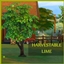 LIME Harvestable By icemunmun | Chinese Translation logo