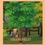 GRAPEFRUIT Harvestable By icemunmun | Chinese Translation logo