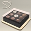 Organic Oasis Hotel Suite Extras- Decor Chocolate Box🤎 logo