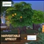 Apricot Harvestable By icemunmun | Chinese Translation logo
