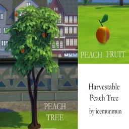 Peach Tree Harvestable By icemunmun | Chinese Translation