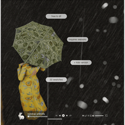 raindrop umbrella 🌂
