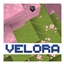 Velora - Light and Immersive logo