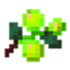 Xp Berry logo