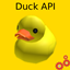 Duck API logo