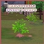 SWEET POTATO Harvestable By icemunmun | Chinese Translation logo