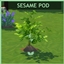 Sesame Pod Harvestable By icemunmun | Chinese Translation logo