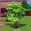 FIG Harvestable By icemunmun | Chinese Translation logo