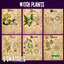 Witch plants posters logo