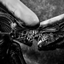 aliens vs predator- kingly pythons gucci realm logo