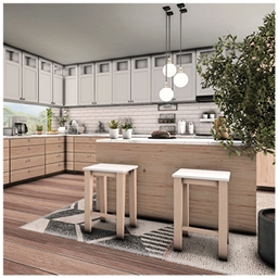 Zarena kitchen