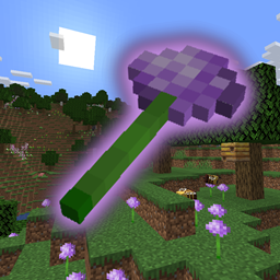 Allium+ project image