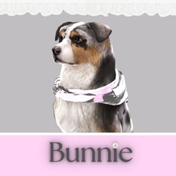 Large Dog Bandana