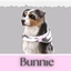Large Dog Bandana logo