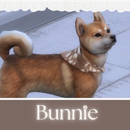 Small Dog Bandana