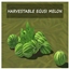 EGUSI MELON Harvestable By icemunmun | Chinese Translation logo