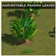 PANDAN LEAVES Harvestable By icemunmun | Chinese Translation logo