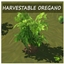 OREGANO Harvestable By icemunmun | Chinese Translation logo