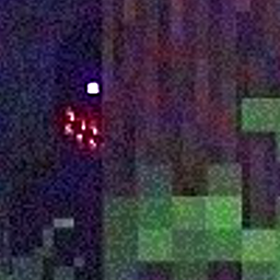 The Darkness of the Night