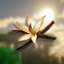 Vanilla Bloom - The Enhanced Vanilla Experience logo