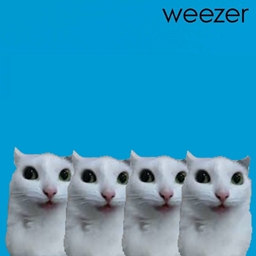 kittycraft :)