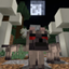Wild Wolves logo