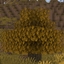 Autumn Time (Fall Time) logo