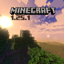 How will 1.25.1 Look Like? logo