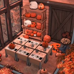 Pumpkin Carving Workshop Room