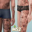 Dragon & Ink Tattoos - MS2 logo
