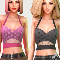 Aurum - Daisy top 9 logo