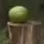SharedMedia_Watermelon logo