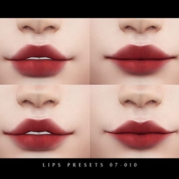 Lip Presets 07-010 logo