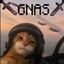 GNAS ULTIMATE logo