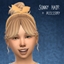 Sunny Hair For Kids logo