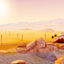 Oasis Springs Sunset Loading Screen logo