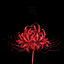 Bloody Blossoms logo