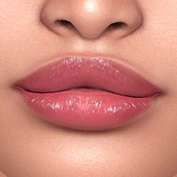 Layla - Lipstick L19 project image