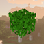 Bushy trees