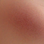 Blush 08 logo