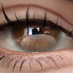 Fus Eyes logo