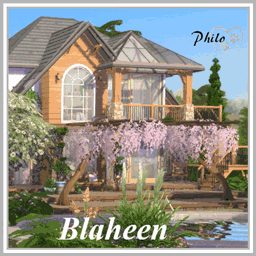 Blaheen No CC logo