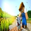 Chad Farm Pack logo