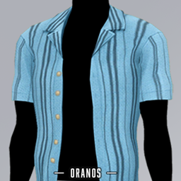 Austin Summer Shirt logo