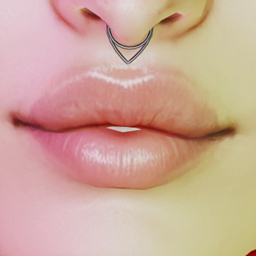 Lip Preset New N12