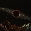 The Dark Side of the Moon logo