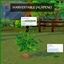 JALAPENO Pepper Harvestable By icemunmun | Chinese Translation logo